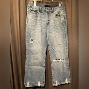 Sincerely Jules Cropped Jeans